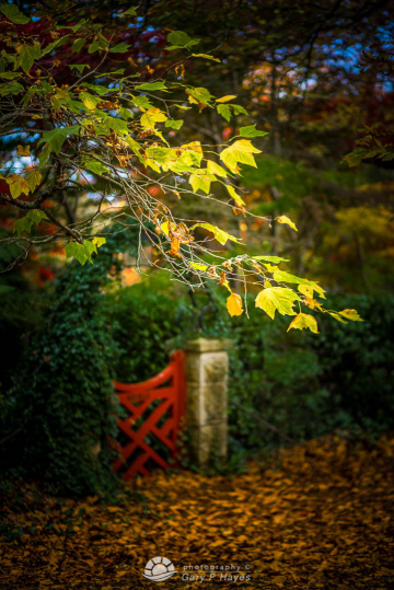 The-Gate The-Gate