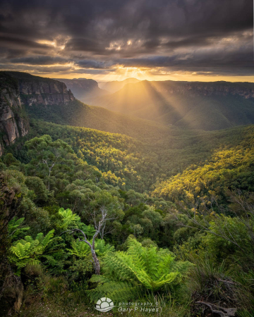 Govetts-Morning-Rays