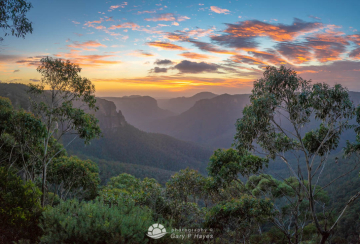 Grose-Valley-Dawn-XXI
