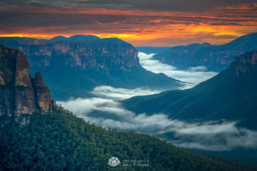Grose-Valley-Dawn