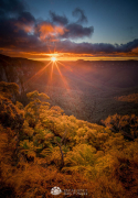 Grose-Valley-Dawn-XXIX