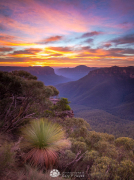 Grose-Valley-Pulpit-Dawn-I