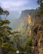 Dreamy Dawn Narrow Neck