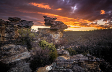 From-Newnes-Plateau