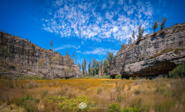 Goochs-Summer-Crater_