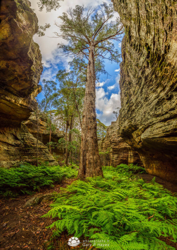 Mayingu-Marragu-Aboriginal-Place