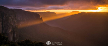 Grose-Govetts-Dream-Beam