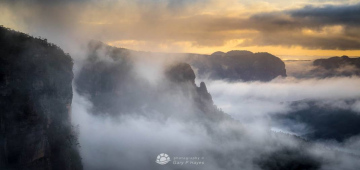 Grose-Govetts-Misty-Dawn