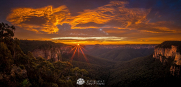 Grose-Govetts-Sunburst-Dawn