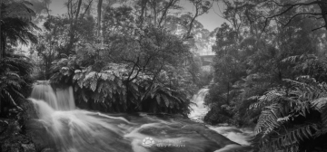 Leura-Dual-Cascades-Floods