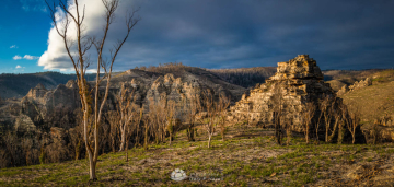 Newnes-Plateau-Lost-City
