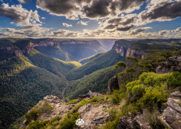 Grose Valley Afternoon