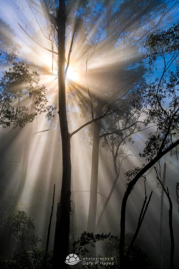 Storm-Light-I