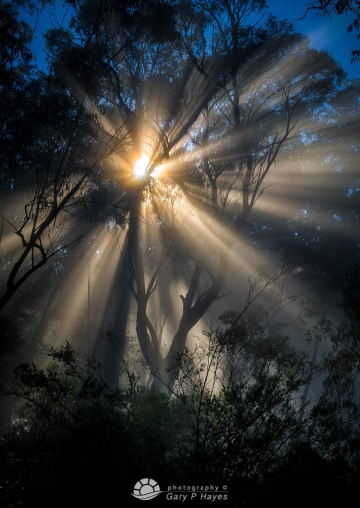 Storm-Light-II