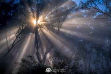 Storm-Light-III