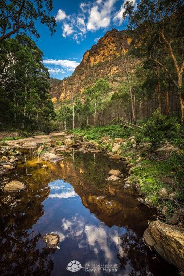 Wollemi-Creek