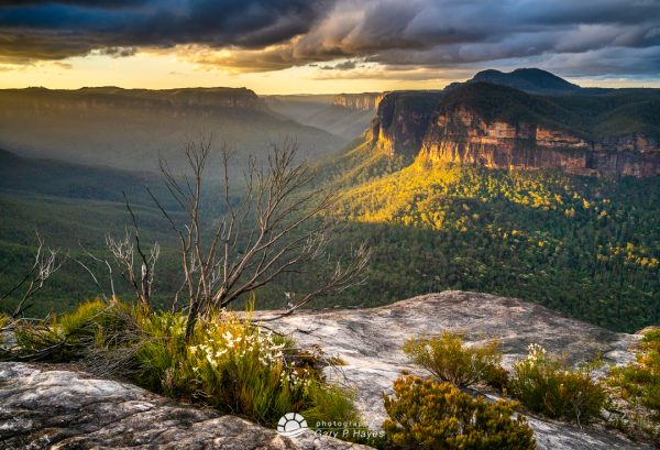 A Landscape Photographers Guide to Australia’s Blue Mountains | Gary P ...